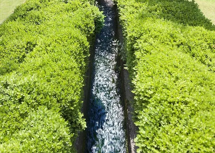 Mit Seeblick- Bbq Und Gemeinschaftspool By Interhome Apartment Malcesine